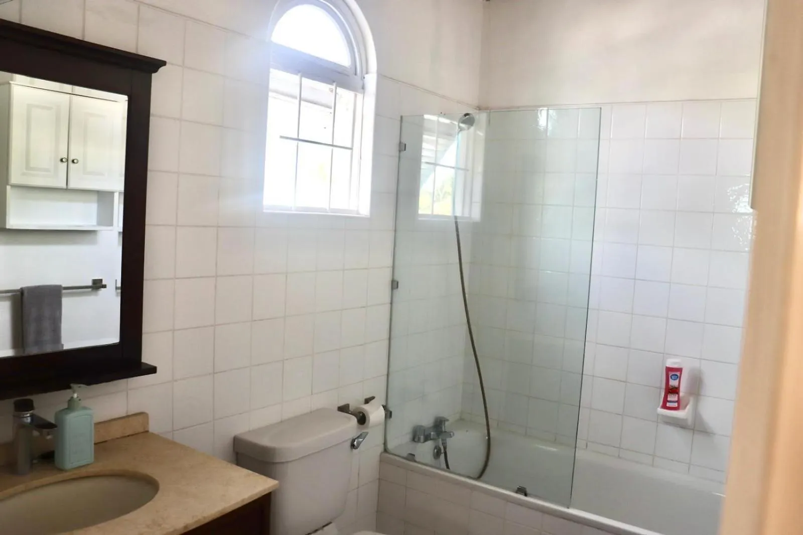 Blr Beach Villa Apartments Christ Church